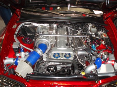 Supra 005.jpg