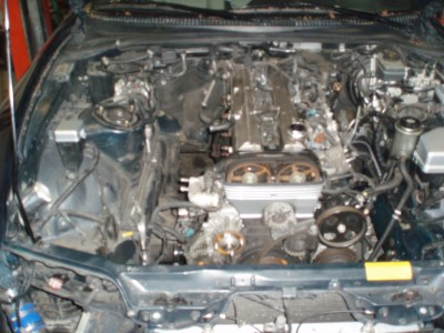 strippe motorrom