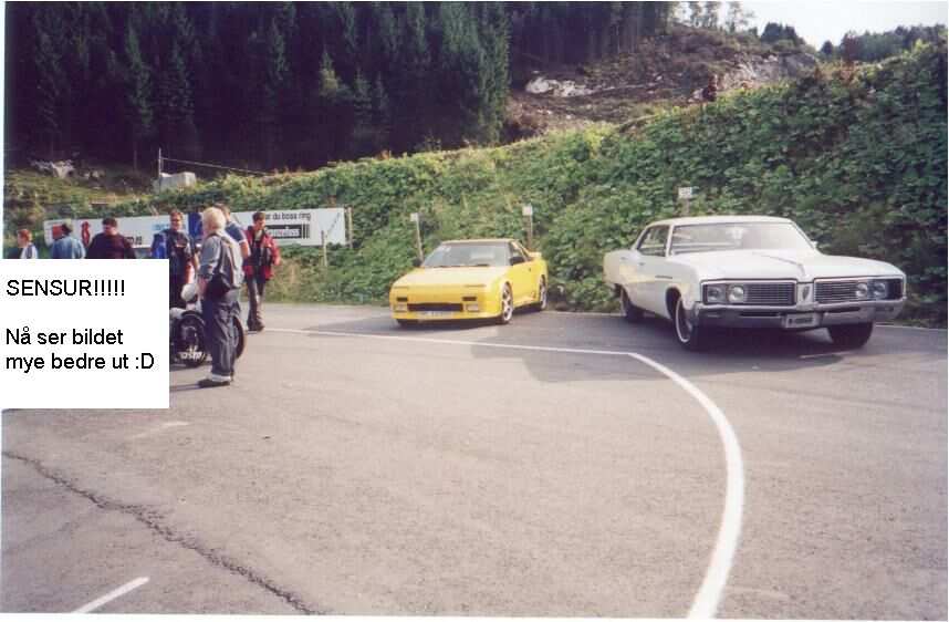 gul_mr2_1155.jpg