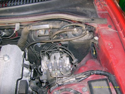 DSCI0003.JPG