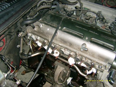 DSCI0015.JPG