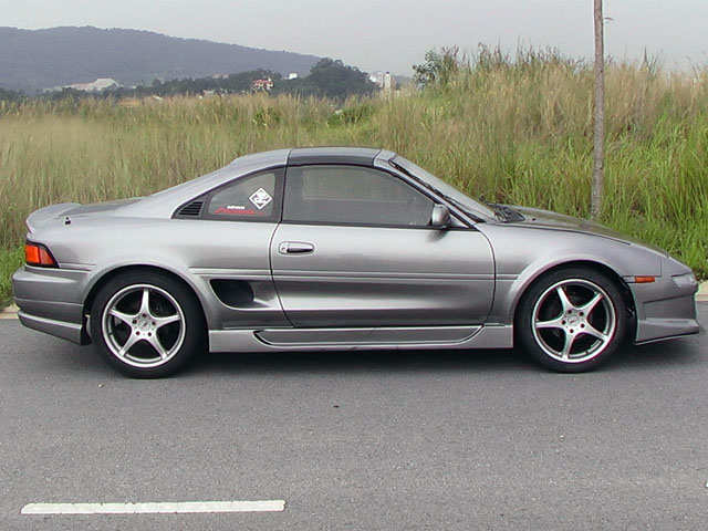 Sølvgrå hmm.. Border front.jpg