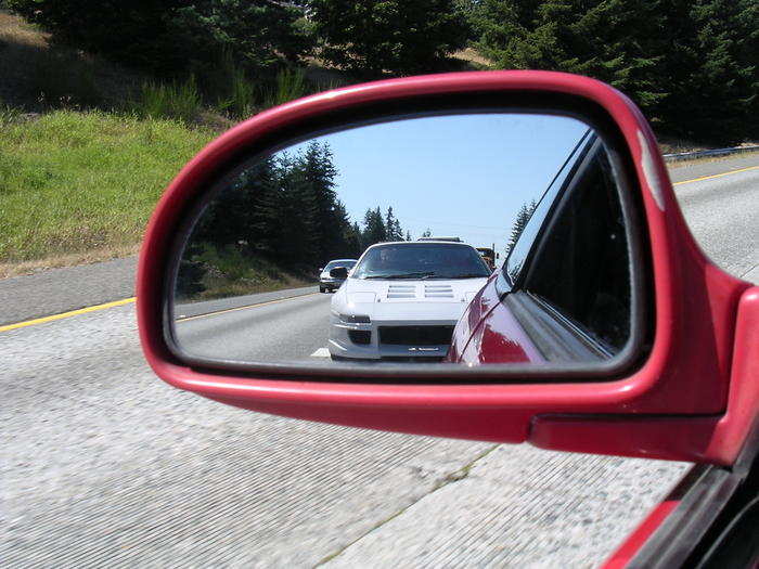 Hvit Fet i speil nærmere.jpg