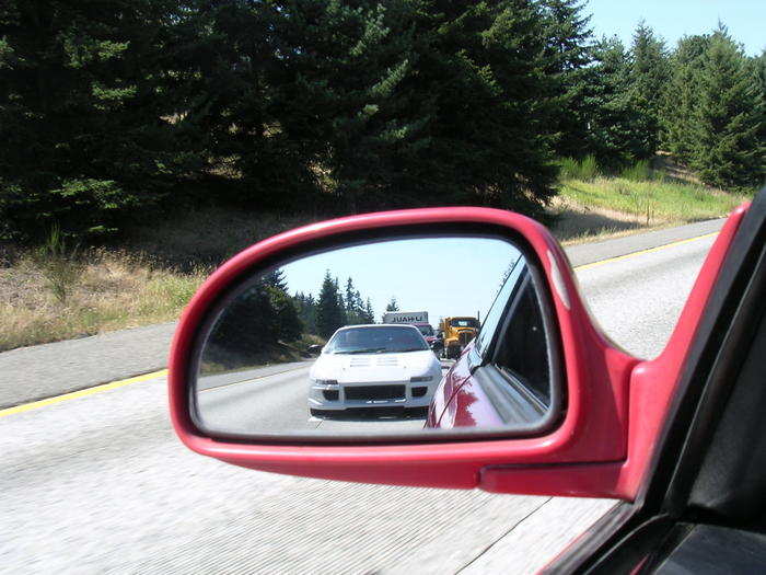 Hvit Fet i speil.jpg