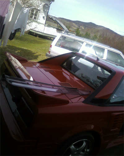 SP_A0015.jpg