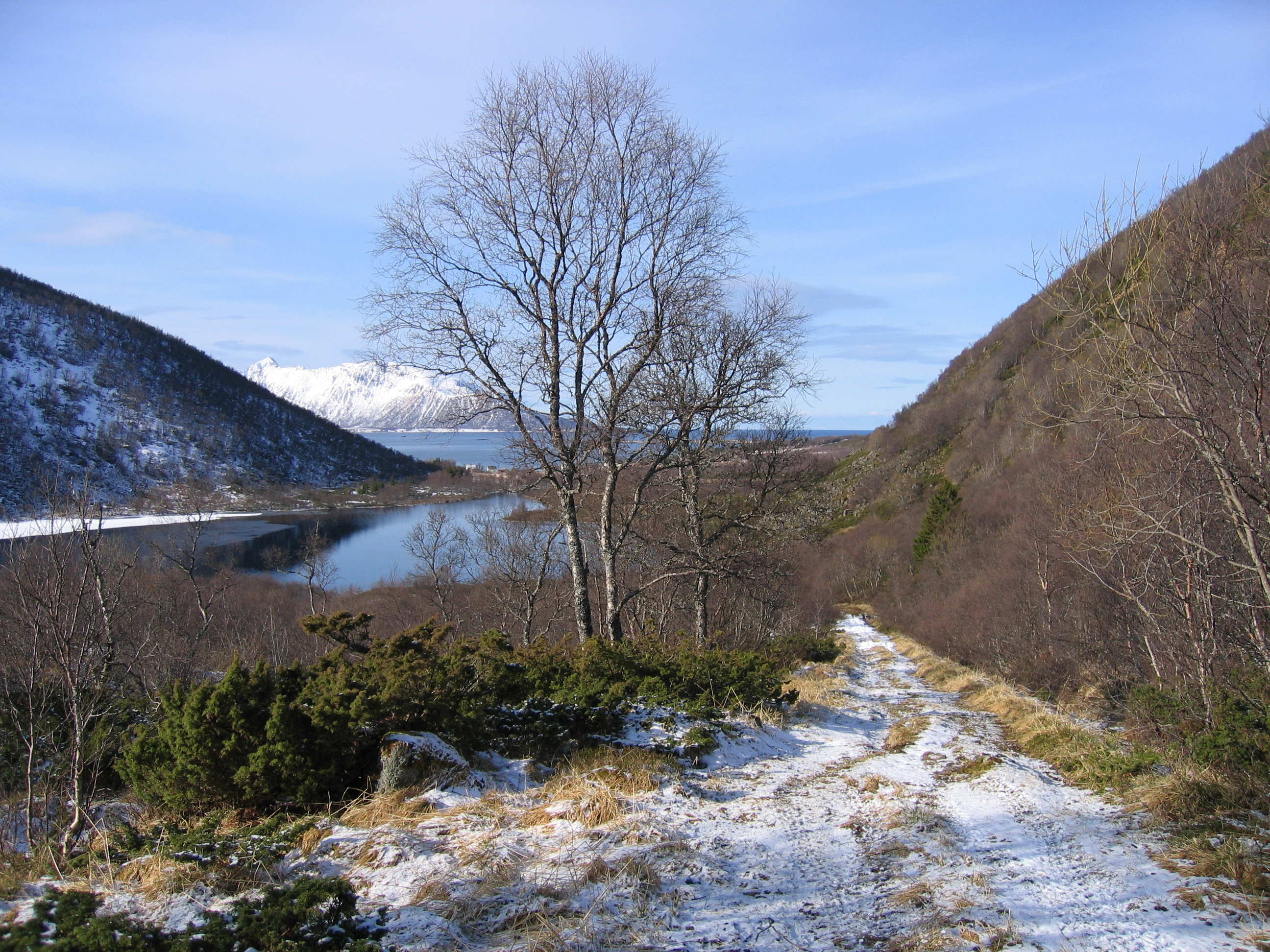 Dette bildet syns eg var so fint!!