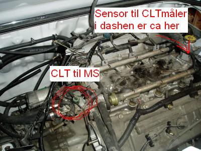 Coolant Temp Sensor til MS, den grønne dær