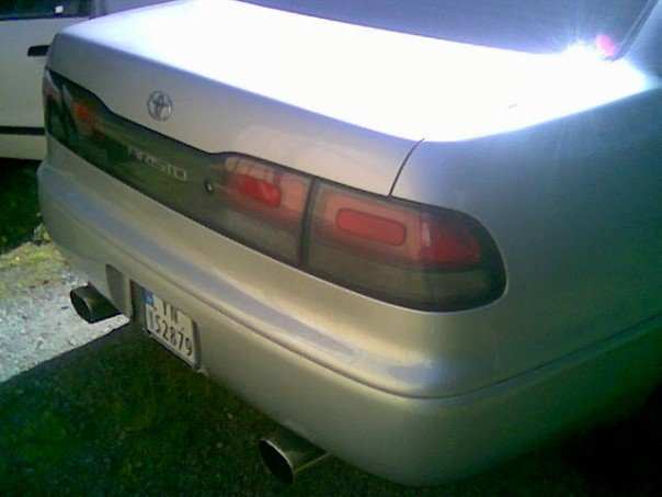 aristo1.jpg