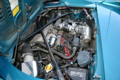 IMG_3889.JPG