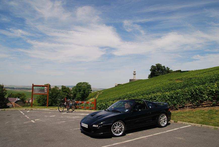 En annen vinåker ved Verzy i samme område...