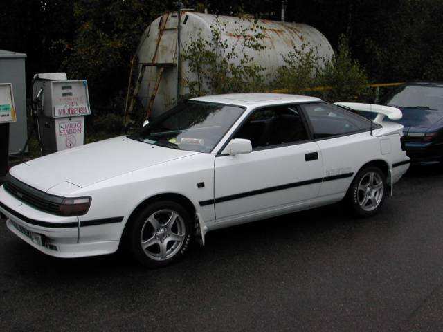celicavinge2.jpg