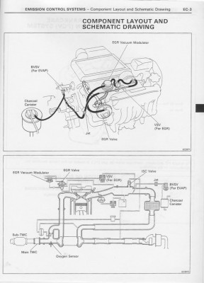 EC-3.jpg