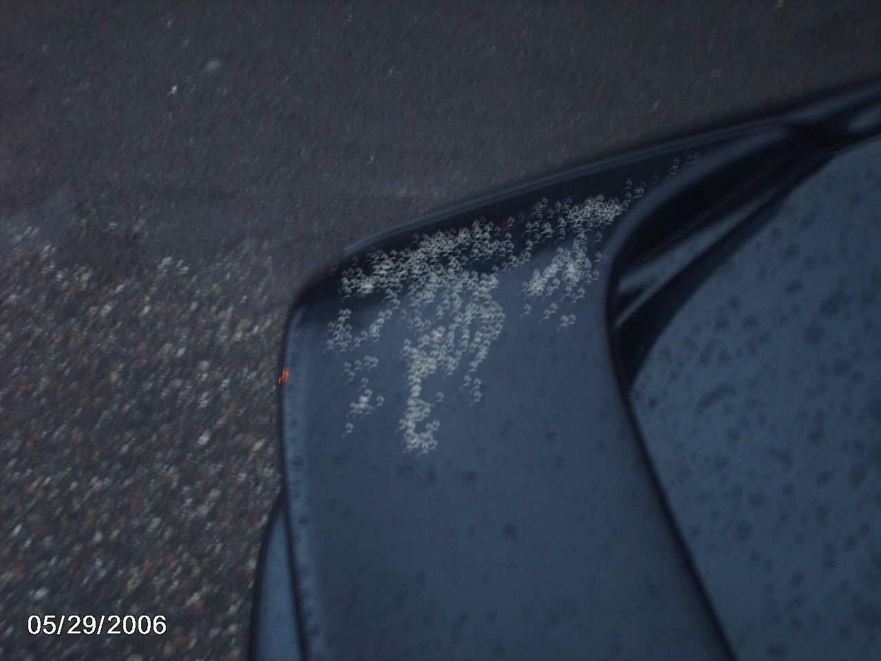 Lakkskadene på vingen