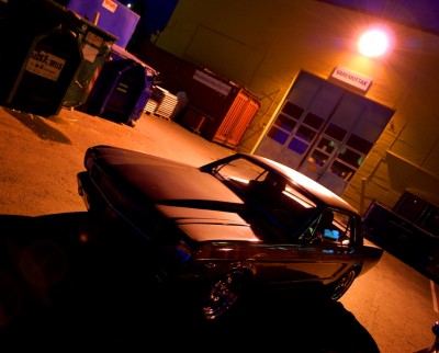 Mustang4-1024.jpg