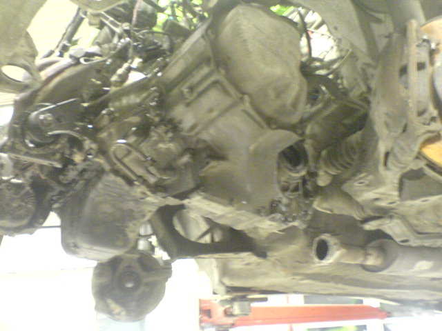 DSC00492.JPG