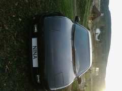 bilen heter nina