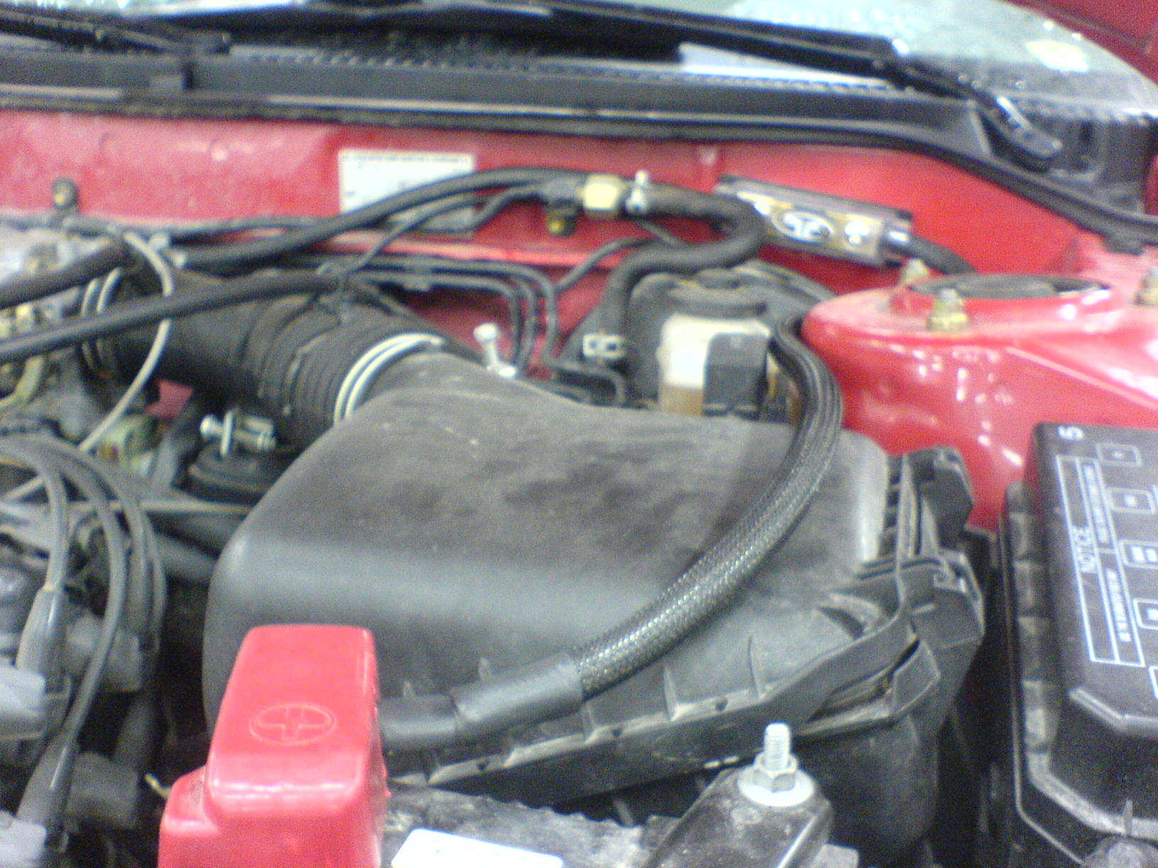 Trekte den i svart strømpe for et mer orginalt look