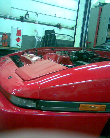 ATT00038.jpg