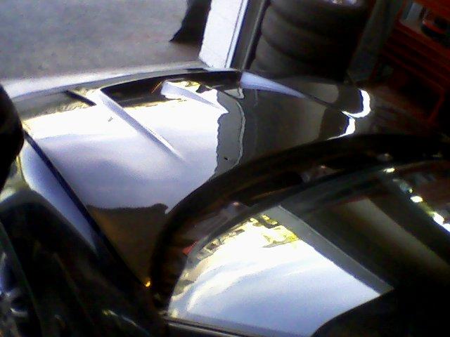 carbon panser montert