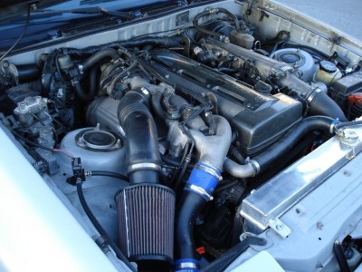ts-ogn8.JPG