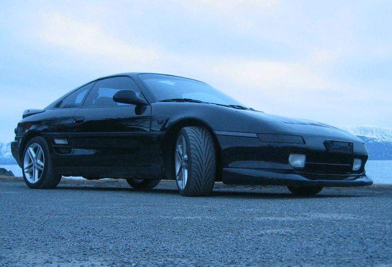 Greddy leppa