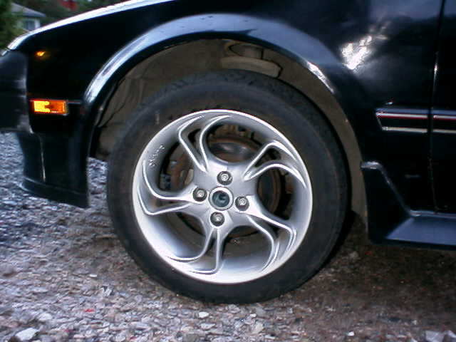 r0300053.jpg