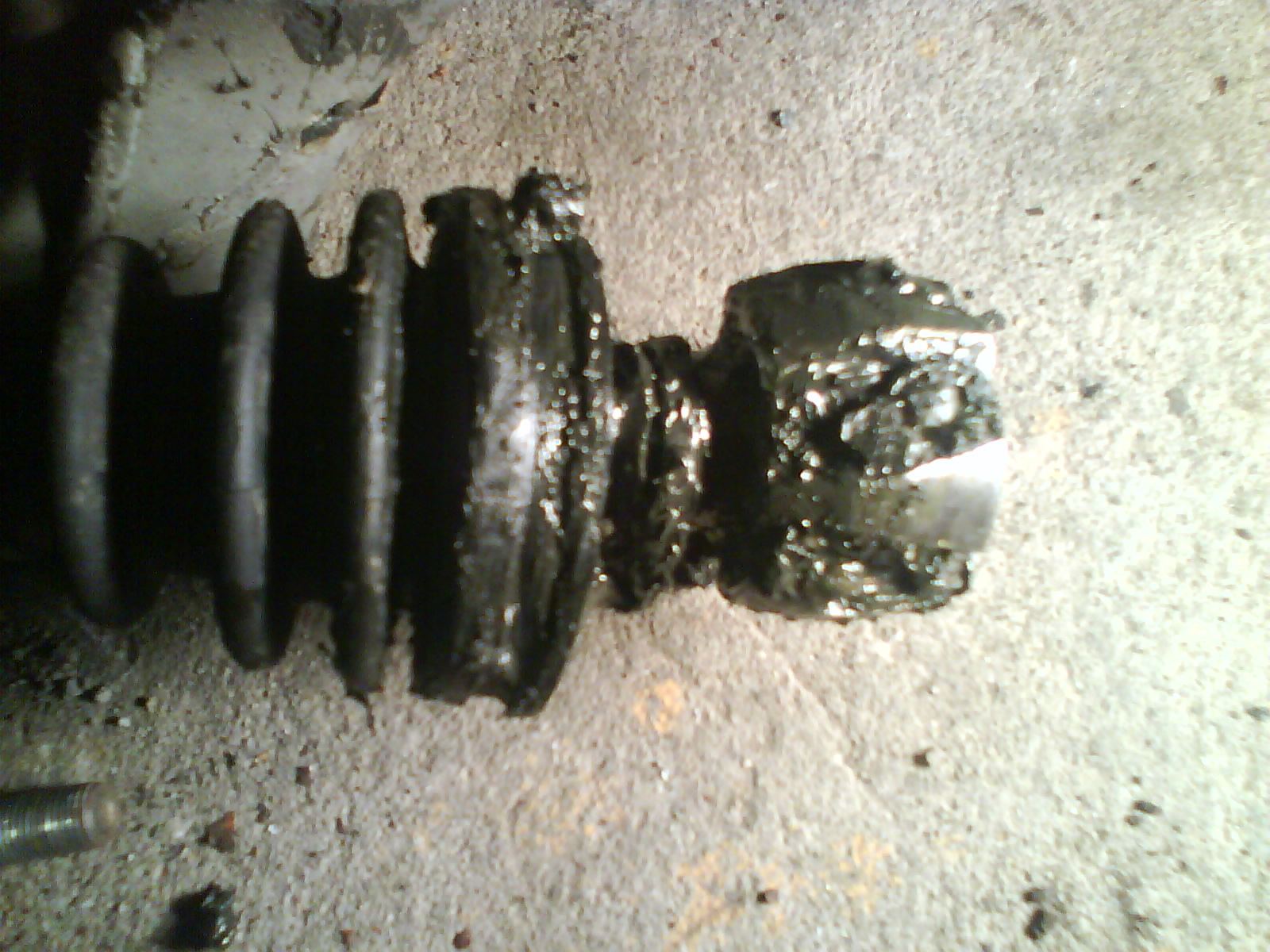 slik så aksel ut da den kom til meg