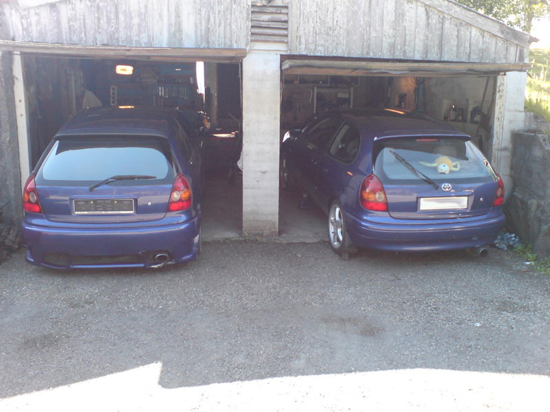 Transplantasjon på vinterens prosjekt....