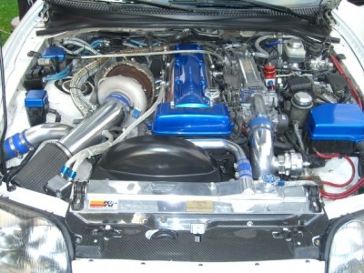 supra2.jpg