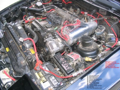 7mlayout2.jpg