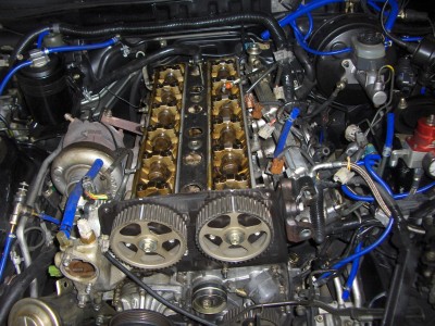 supra 020.jpg
