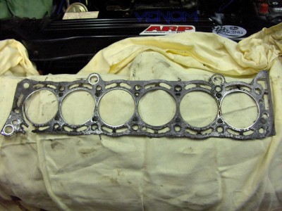 supra 037.jpg