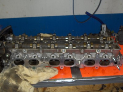 supra 039.jpg