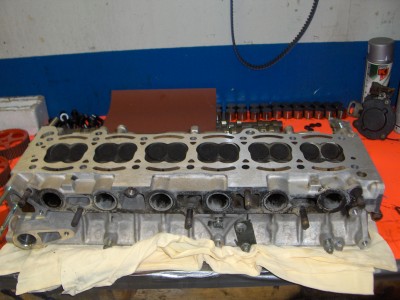 supra 016.jpg
