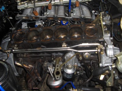 supra 017.jpg