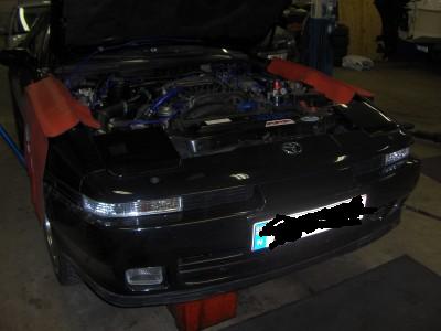 supra%20017.jpg