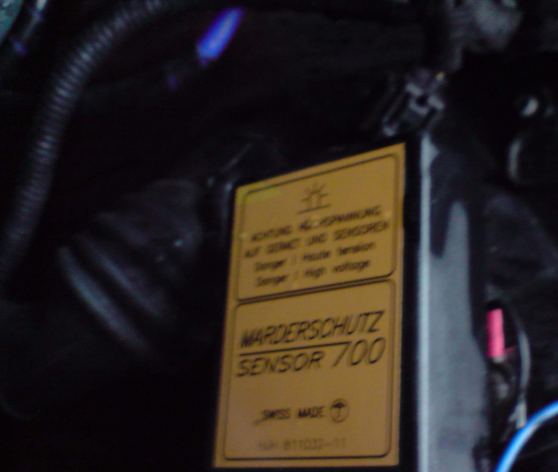 P110109_13.01.jpg