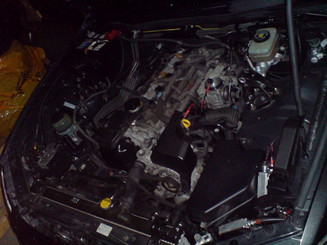 DSC01021.JPG