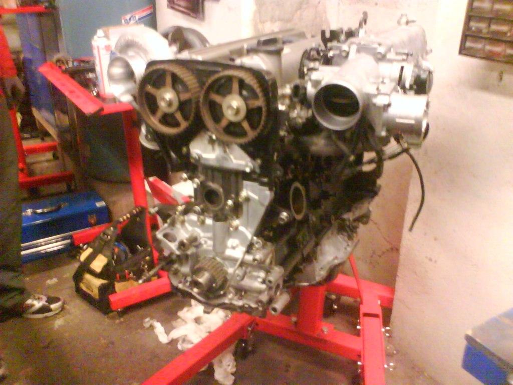 ts-ogn3.JPG
