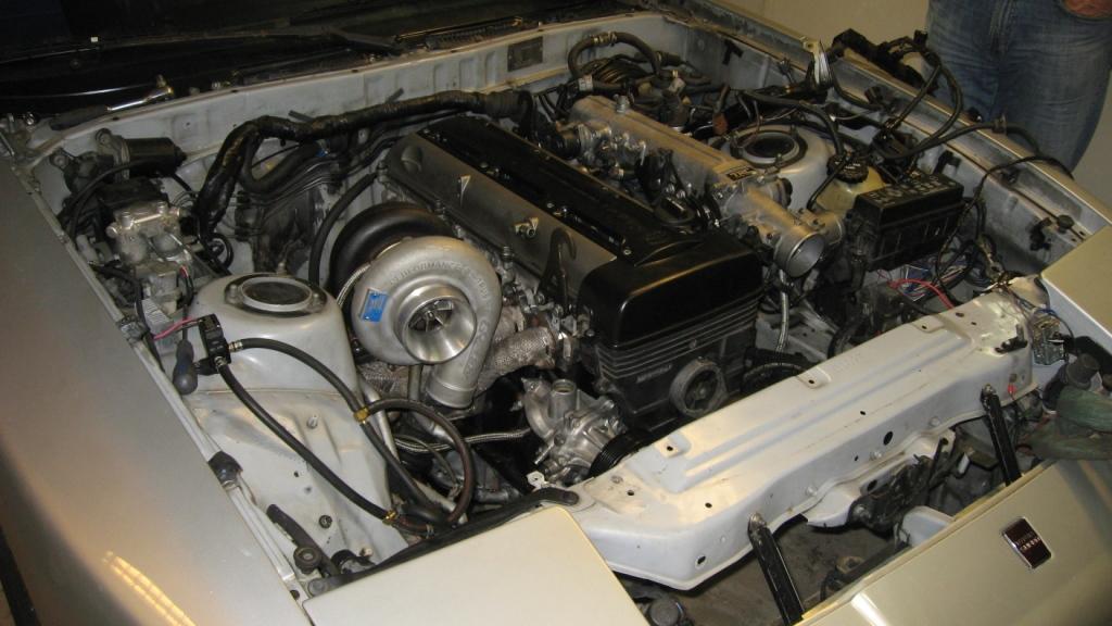 supra5.jpg