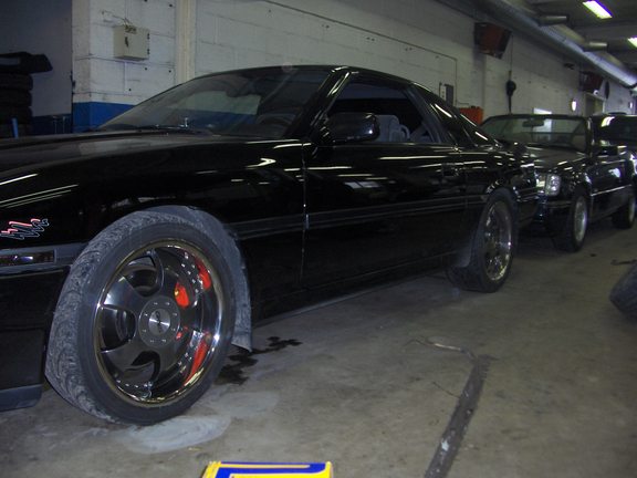 rsz_supra_038.jpg