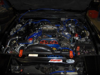 rsz_supra_039.jpg