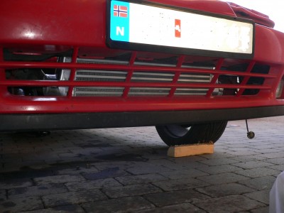 P1030365 gfds.jpg