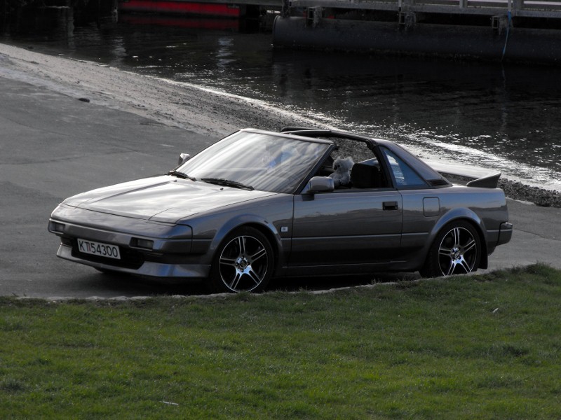 DSCF0177 (800x600).jpg