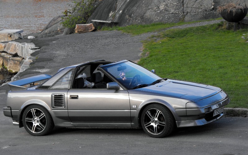 DSCF0174 (800x500).jpg