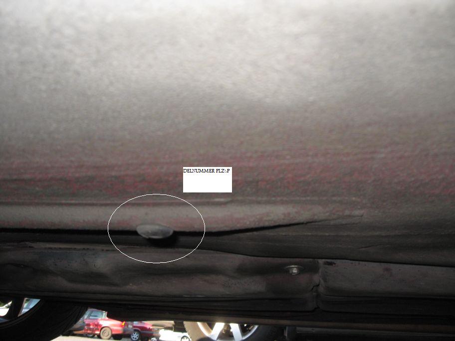 resized_IMG_1711.jpg
