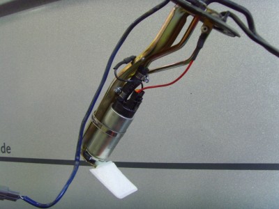 SNV30829.JPG