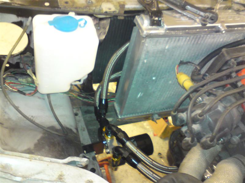 DSC00043 (Medium).JPG
