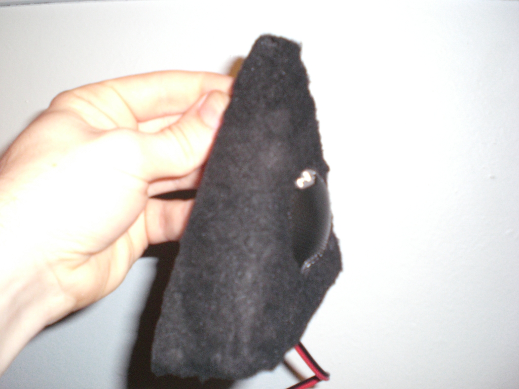 x diskanthus 006.jpg