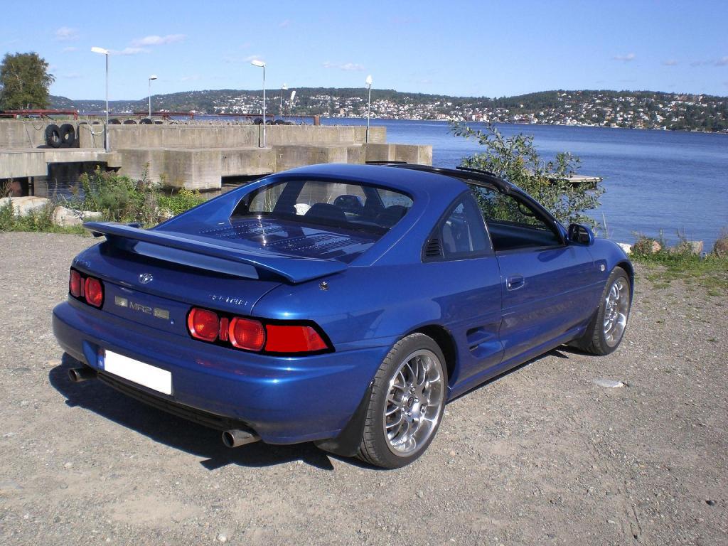 høst 09 045svartbaklysrød.JPG